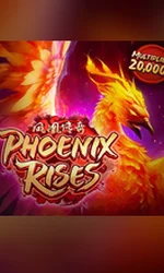 Phoenix Rises